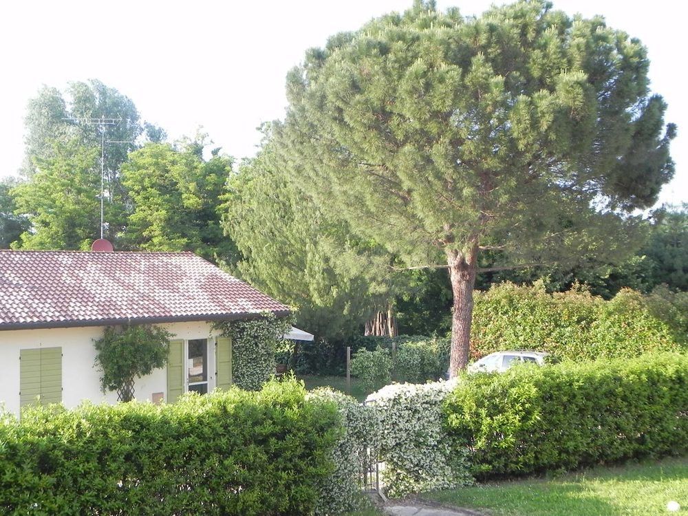 Caterina 3* Faenza