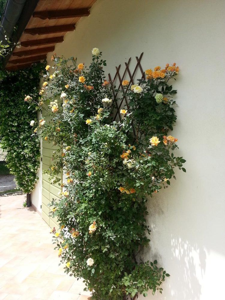 Caterina Appart hôtel Faenza