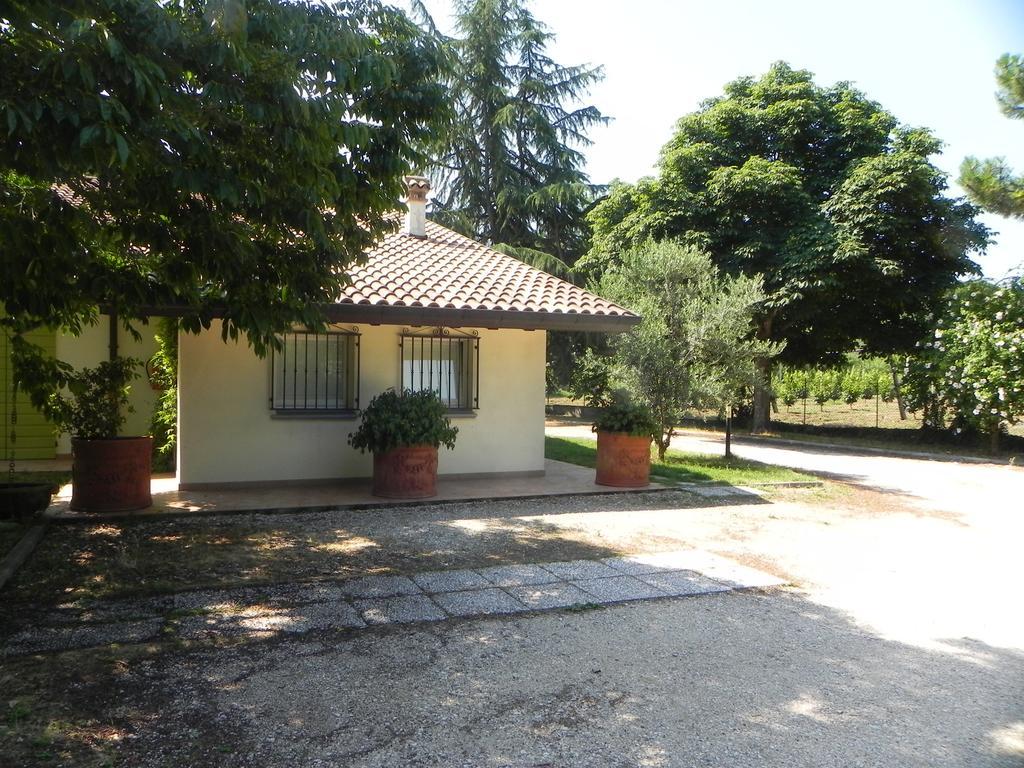 Apartahotel Caterina Faenza