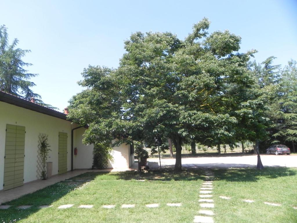 Caterina Apartahotel Faenza